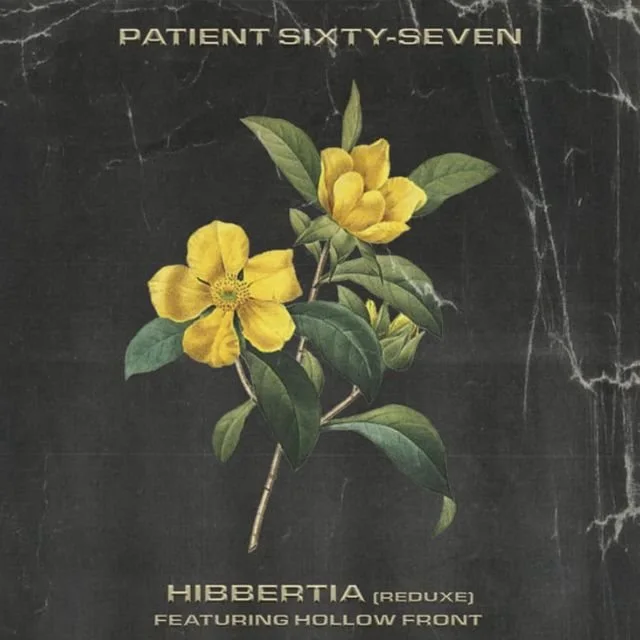 Patient Sixty-Seven Hibbertia (Redux)