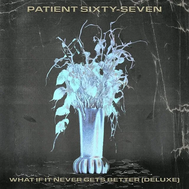 Patient Sixty-Seven What If It Never Gets Better